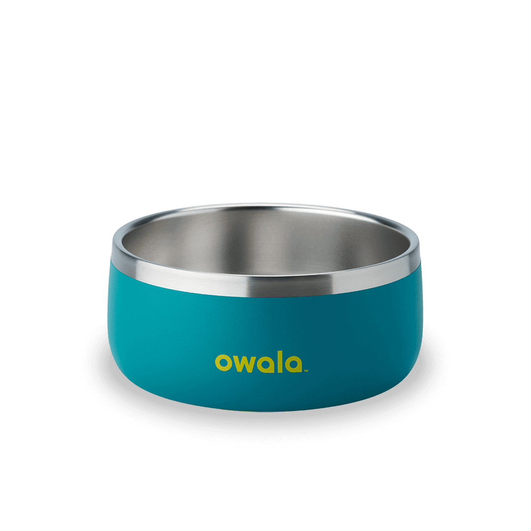Pet Bowl Q2